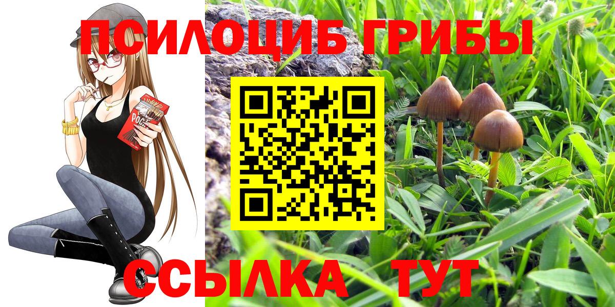Псилоцибиновые грибы Psilocybe  купить наркоту  Ноябрьск  Вход с VPN  Псилоцибиновые грибы MAGIC MUSHROOMS 