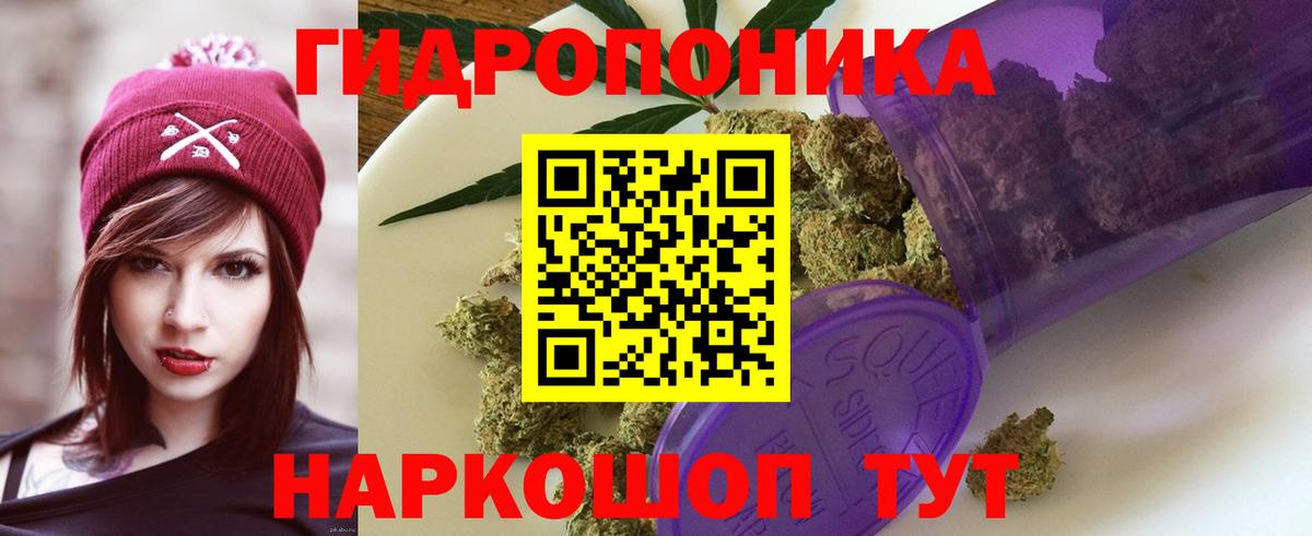 Конопля план Ноябрьск